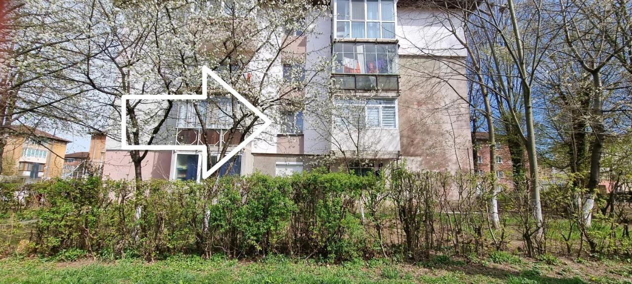 Appartement Studio Vale à Hunedoara Extérieur photo