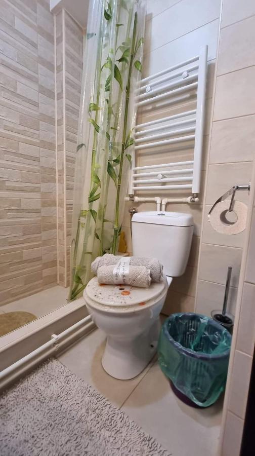 Appartement Studio Vale à Hunedoara Extérieur photo